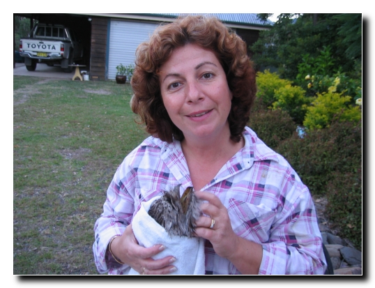 031 Joanne mit Frogmouth